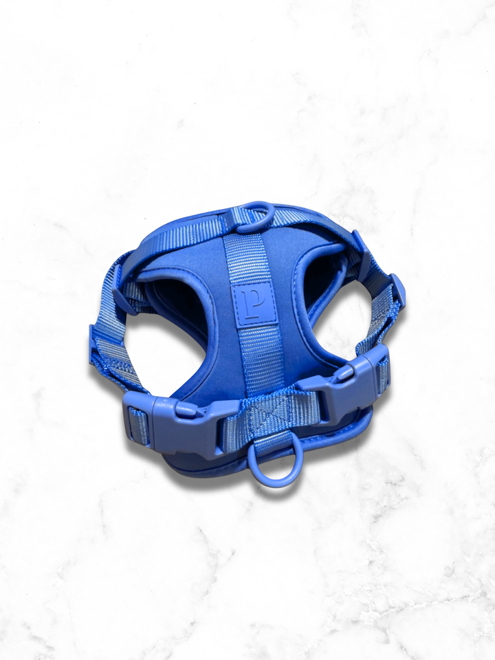 Dog Harness - Ocean Blue