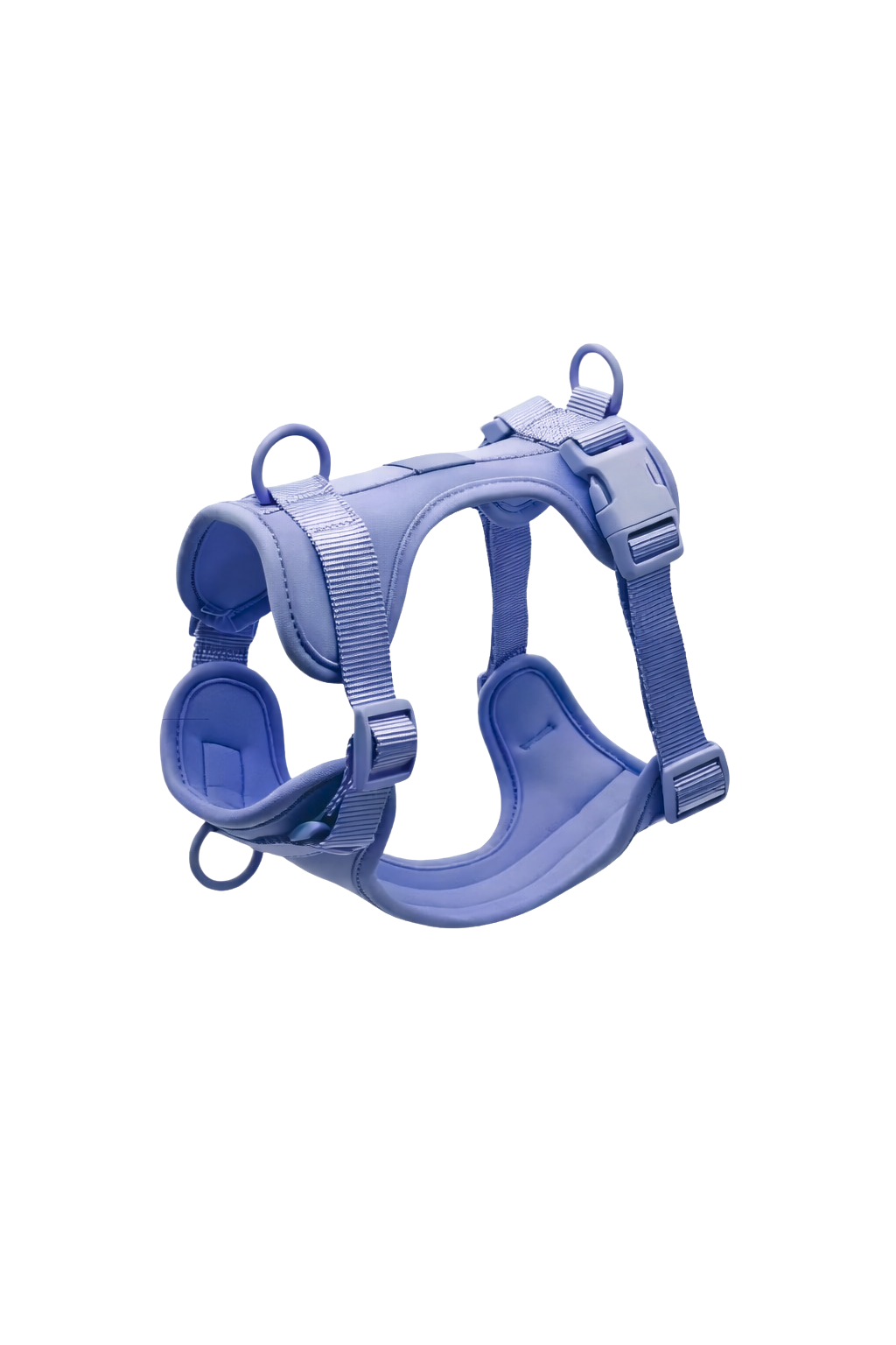 Ocean Blue Dog Harness