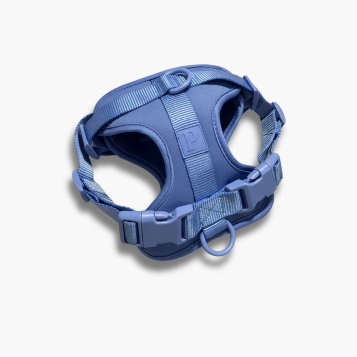 Ocean Blue Dog Harness