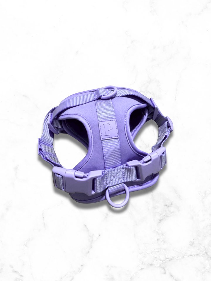 Dog Harness - Lilac