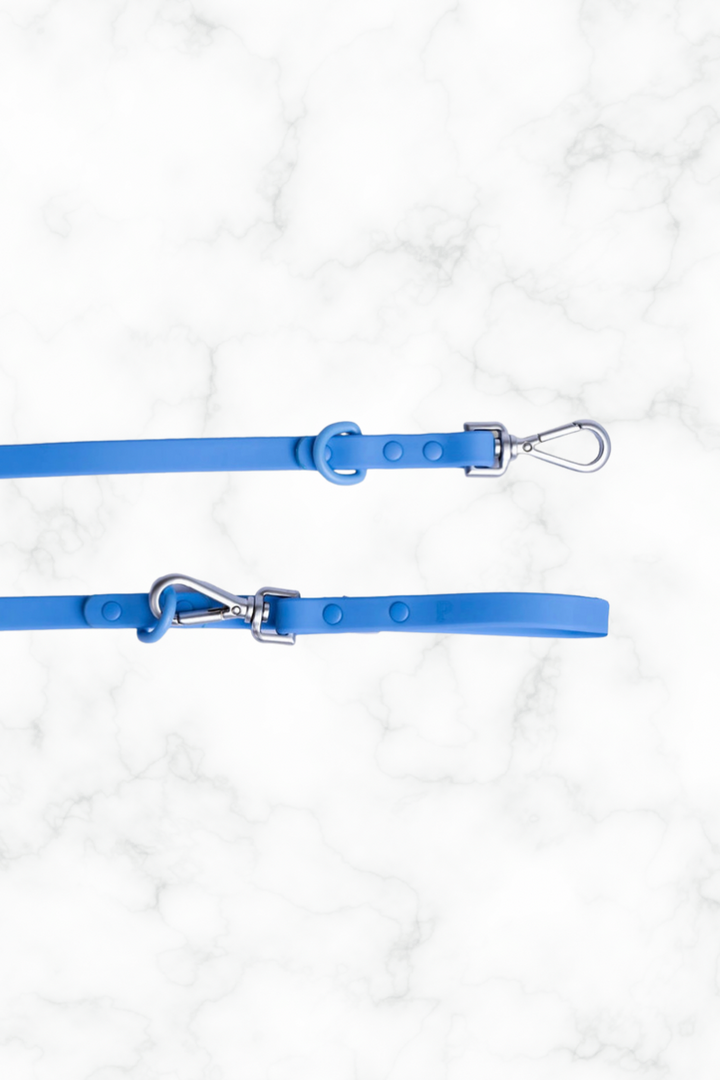 Ocean Blue Dog Lead