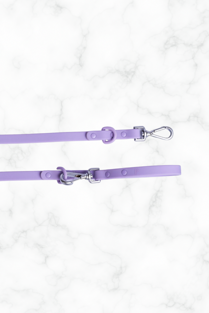 Lilac Dog Lead