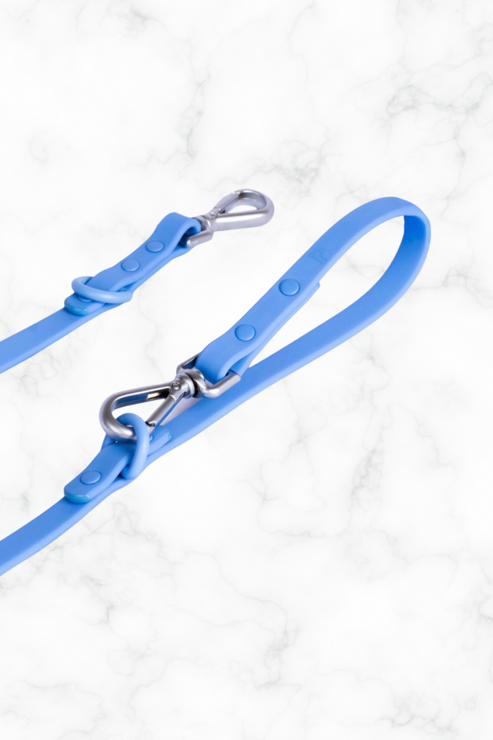 Ocean Blue Dog Lead
