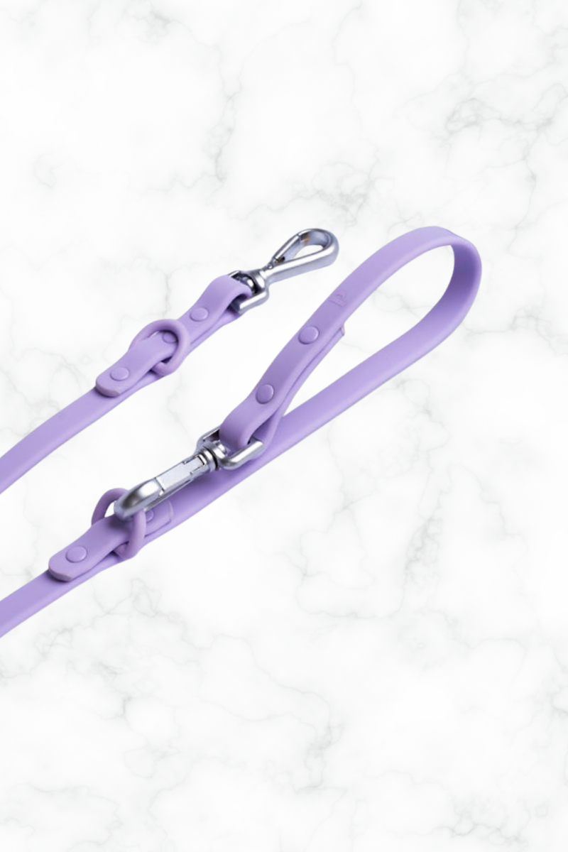 Lilac Dog Lead